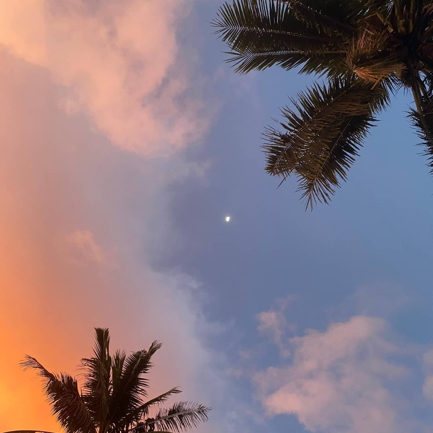 the moon on at sunset in siargao, philippines